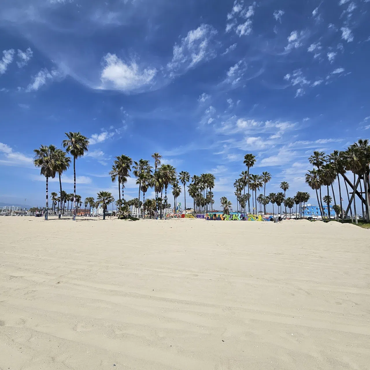 Come Venice Beach si inserisce in un tour di una giornata intera a Los Angeles
