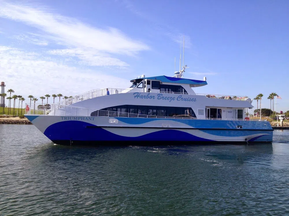 Giants Off the Coast: A Local's Guide to Whale Watching in Los Angeles