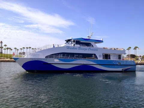 Giants Off the Coast: A Local's Guide to Whale Watching in Los Angeles