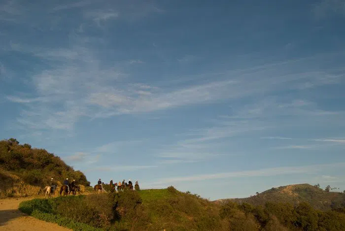 Die besten Pferdeausflüge mit Hollywood-Blick in Los Angeles