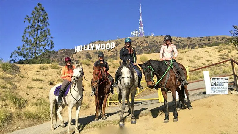 Trail Riding Los Angeles – Griffith Park Cross-Country Ride, Los Angeles