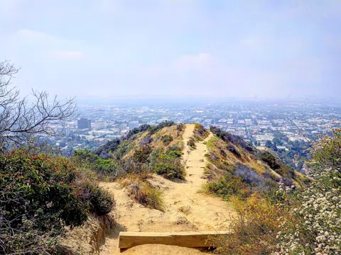 The Hills Are Alive: Hiking Los Angeles, from Griffith to the Backbone Trail