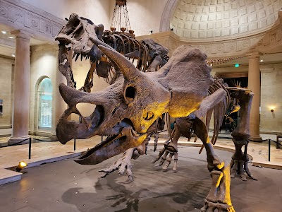 Natural History Museum