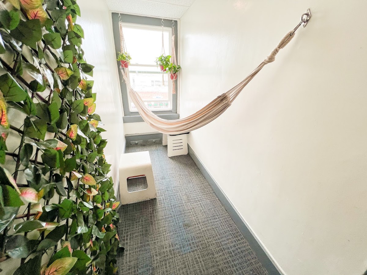 Surf City Hostel — photo 6