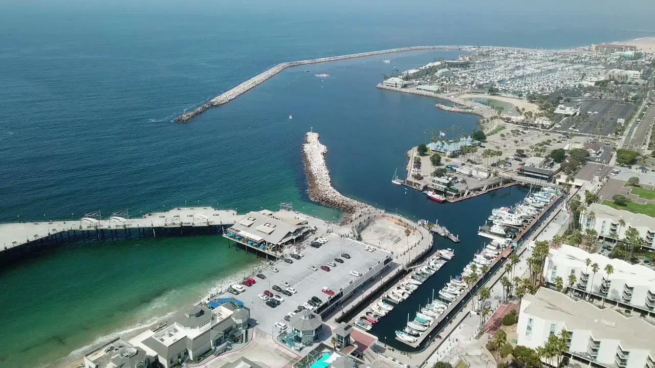 Redondo Beach Whale Watch (de Voyager), Los Angeles