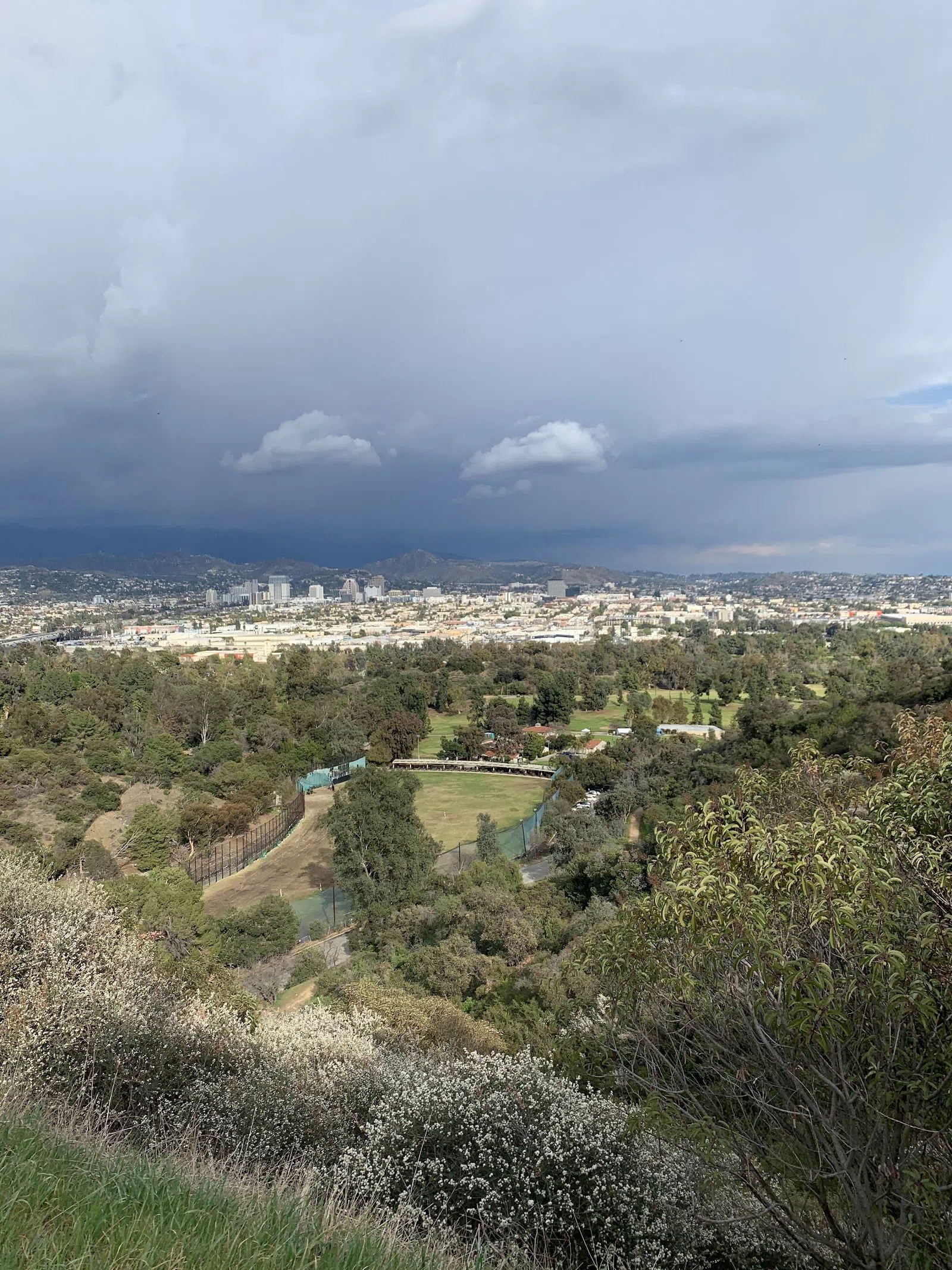 Amir's Garden, Los Angeles