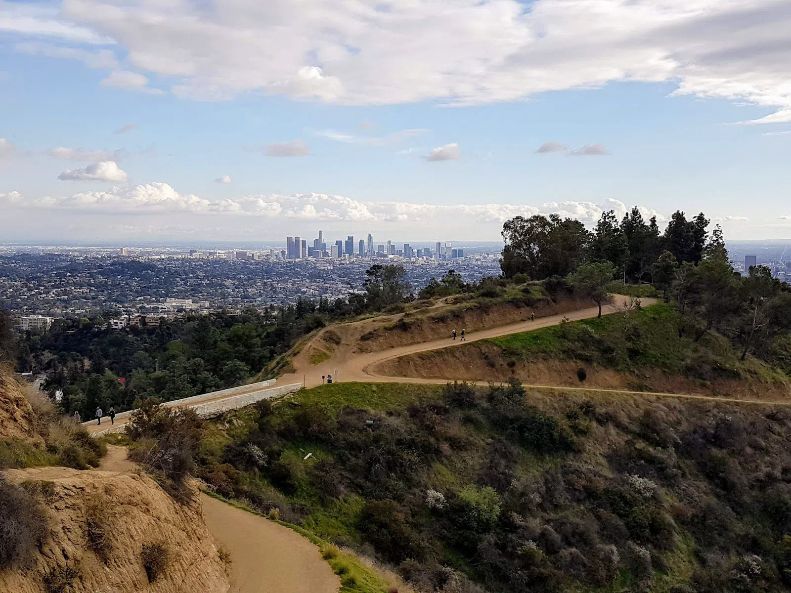 Griffith Park Past the Hollywood Sign Photo in Los Angeles